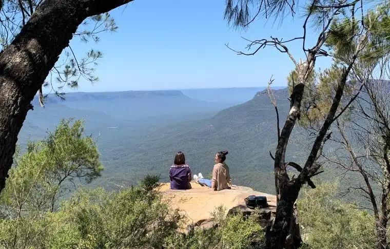 Blue Mountains Small Group Wildlife Tour
