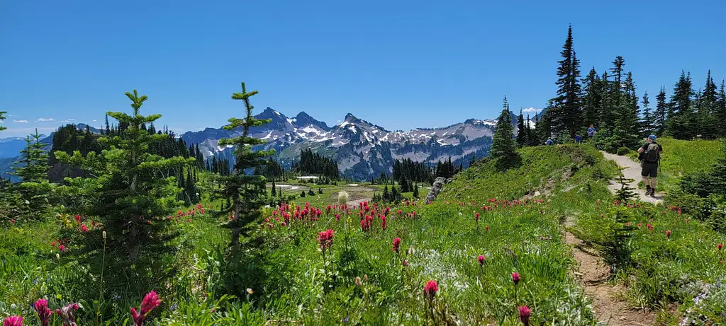7 Day Canadian Rockies Tour | From Seattle
