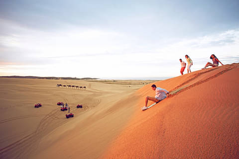 full day whale watching & sandboarding trips from sydney