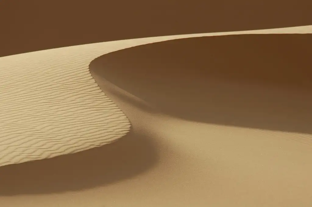 Day Trip to Sahara Sand Dunes and Paradise Valley | From Agadir