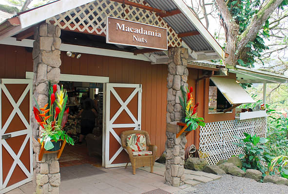 Oahu Food Tour Sites and Bites