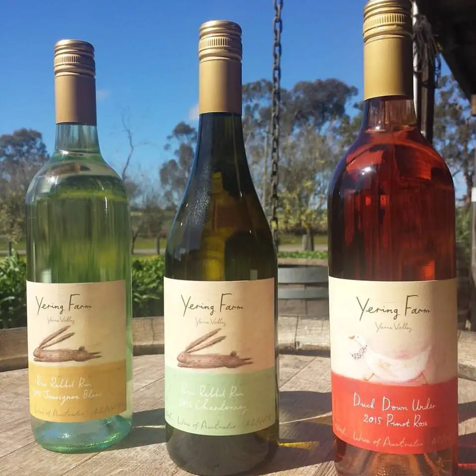 Yarra Valley Wine Experience with Lunch - Pick up Melbourne or Yarra Valley