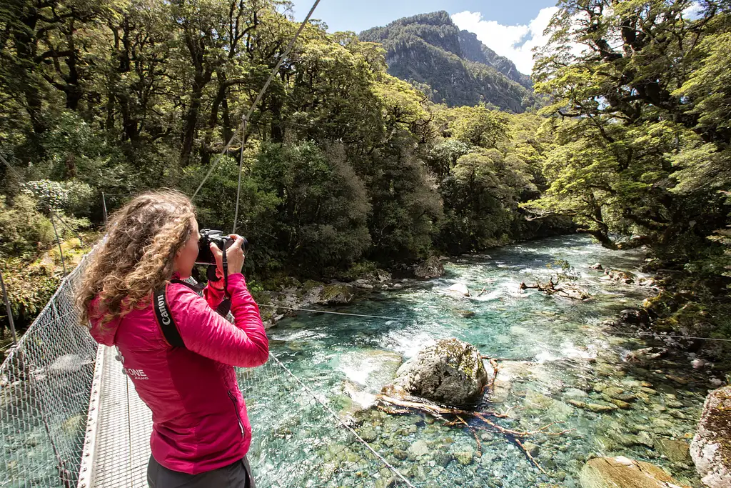 Milford Sound Day Tour from Te Anau - Coach, Cruise & Walk