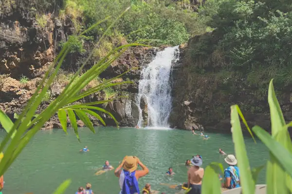 Majestic Circle Oahu Island Tour