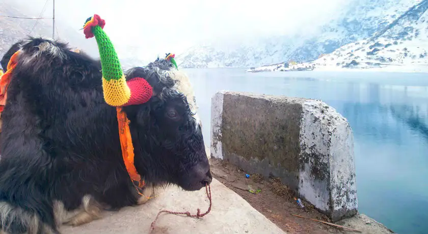 Splendors of the North East India