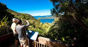 Guided Queen Charlotte Track Walk