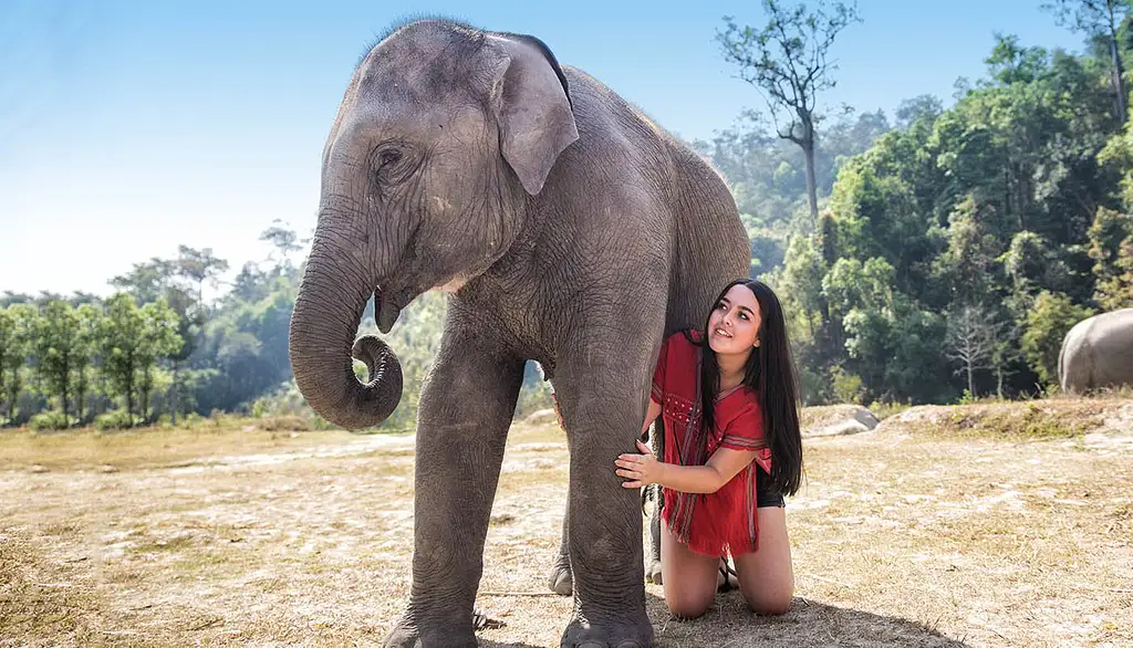 Thailand Tour: 9 Days, 12 Days or 18 Days
