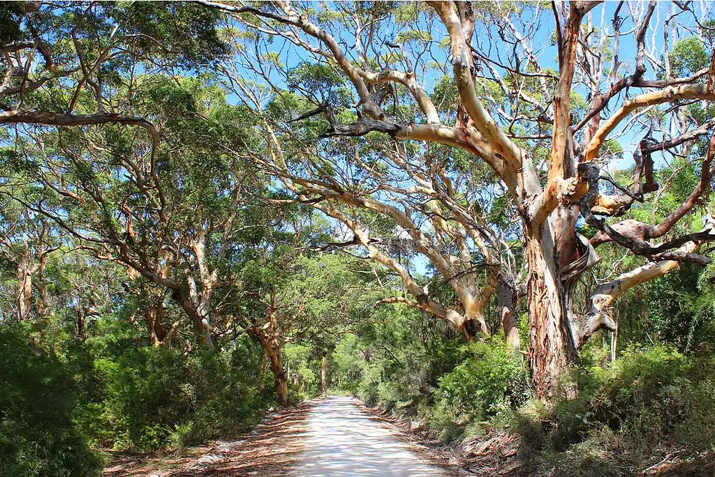 5 Day Margaret River & Albany Adventure | Departing Perth | Intrepid Tour