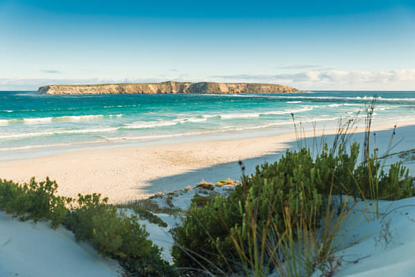 Coffin Bay South Australia Top Things To Do