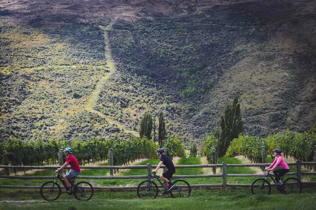 Bike The Wineries - Full Day Tour Queenstown