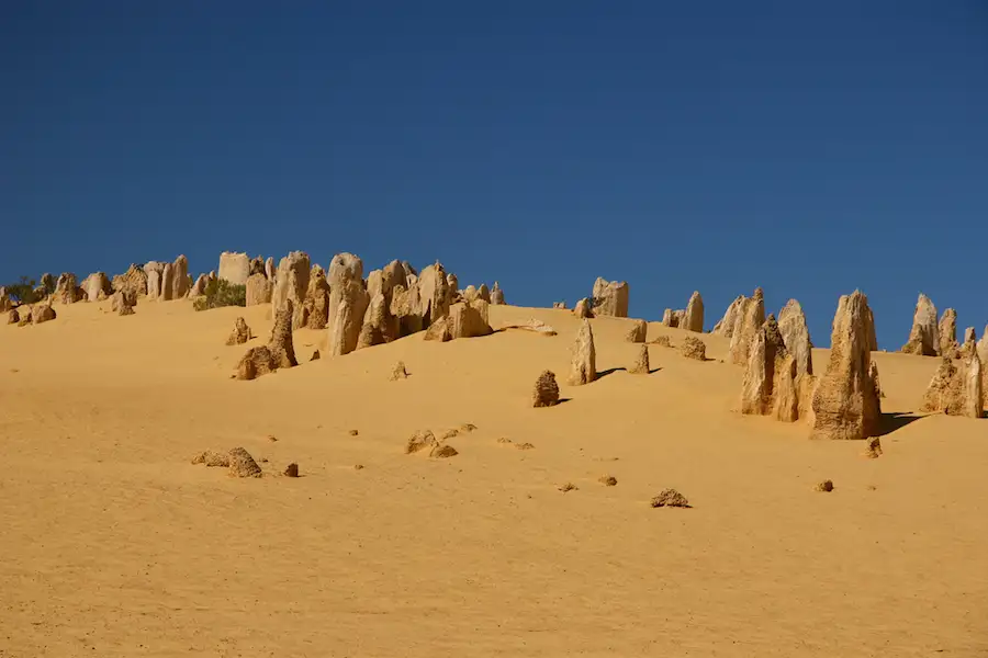 9 Day Perth To Broome Adventure