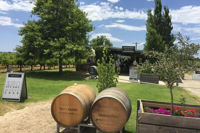 Swan Valley Wine Tour - Full Day or Half Day
