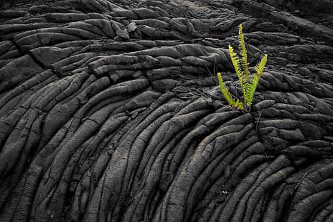 Big Island Volcano Adventure special
