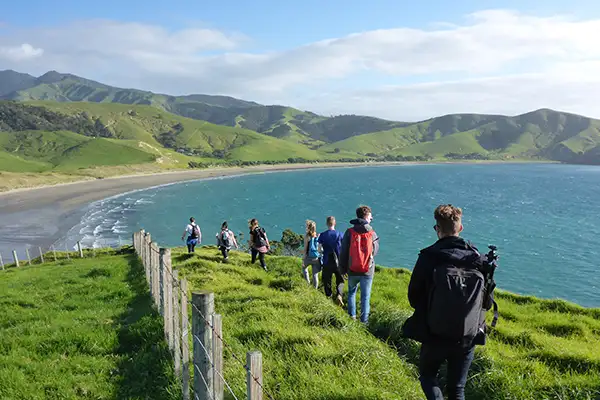 7 Day Ultimate New Zealand Gap Year  | Ultimate Adventures