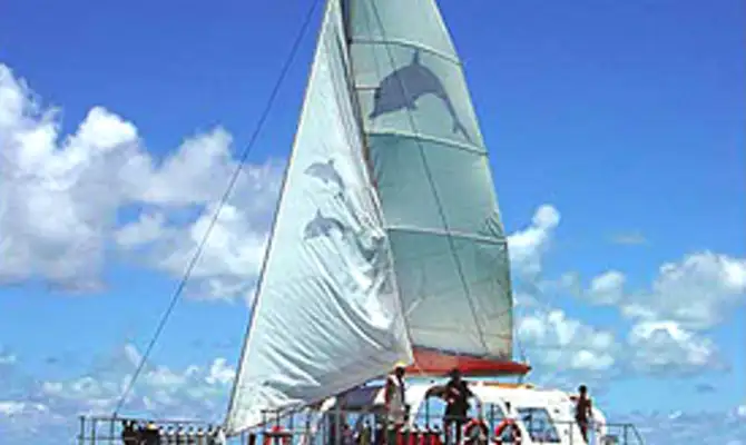 1 Day Sailing Tour: Reef Daytripper