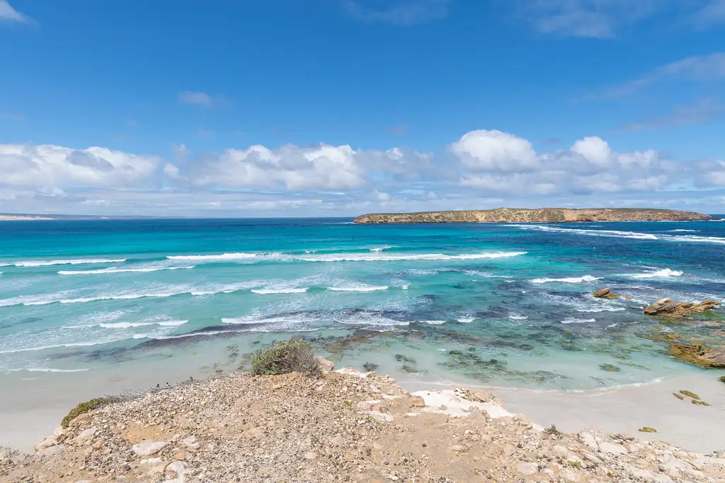 Coffin Bay Oysters & Sightseeing 4WD Tour