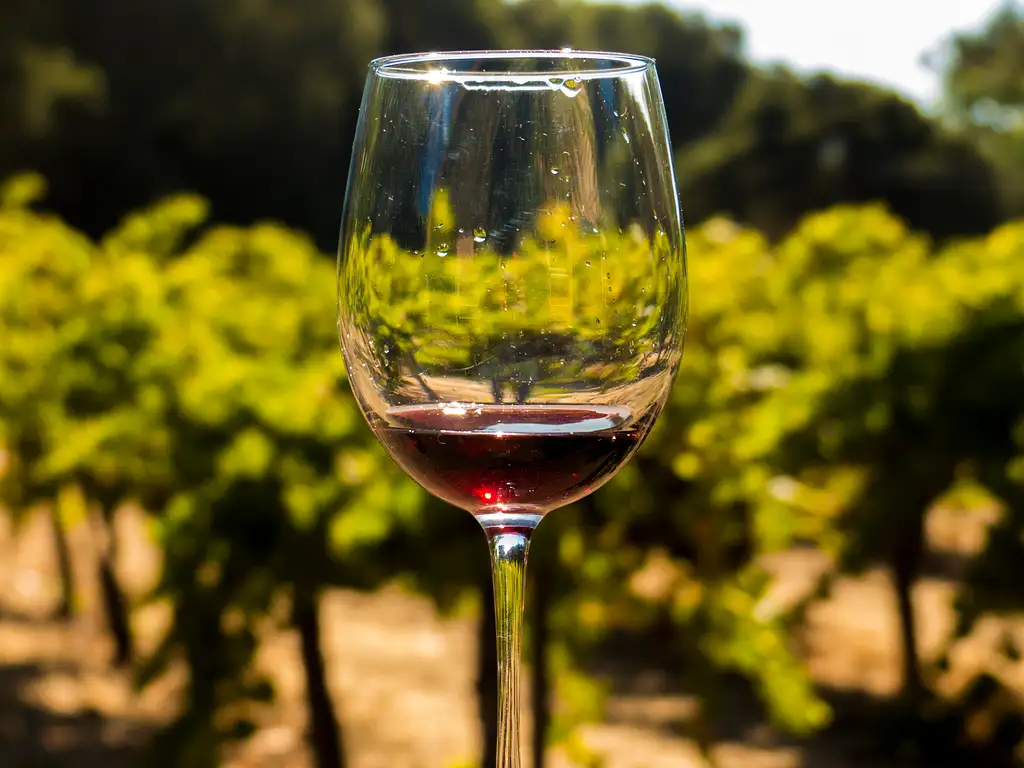Full Day Wine Country Tour - Napa & Sonoma Valley
