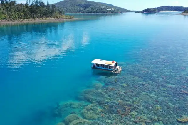 Glass Bottom Boat Tour | From Shute Harbour