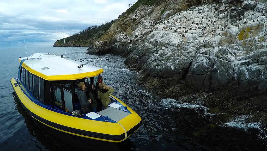 2.5 Hour Lighthouse And Island Cruise From Hobart - Iron Pot