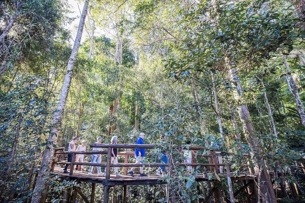 Sunshine Coast Hinterland Culinary Experience | Discover Montville & Malany