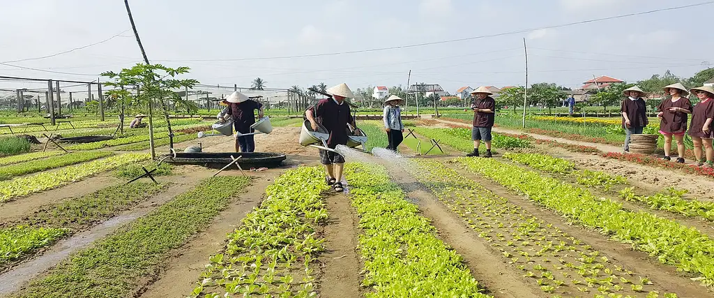 Tra Que Vegetable Village Tour - Half Day
