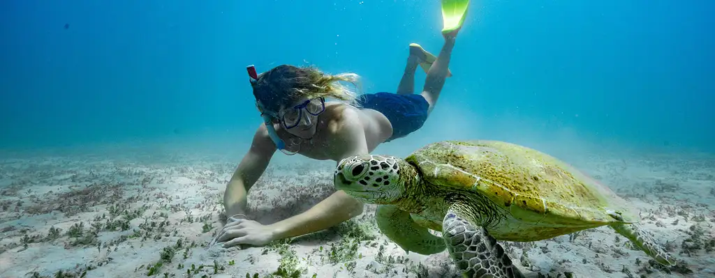 Great Keppel Island Coral & Marine Combo Tour