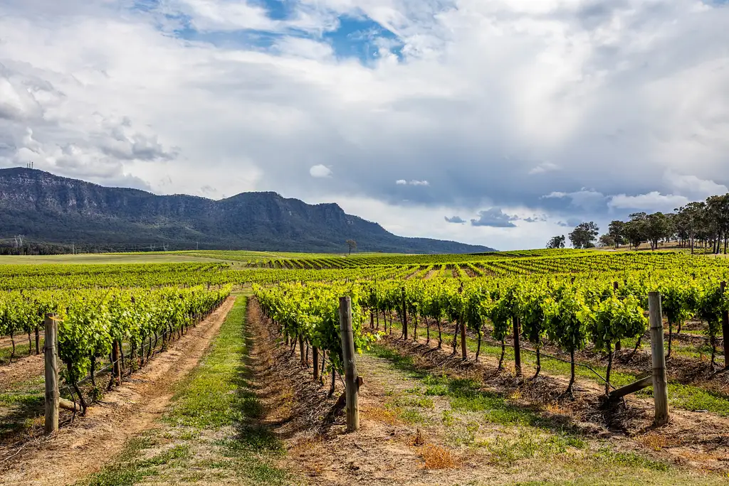 Hunter Valley Wineries - Colourful Day Trip Departing Sydney
