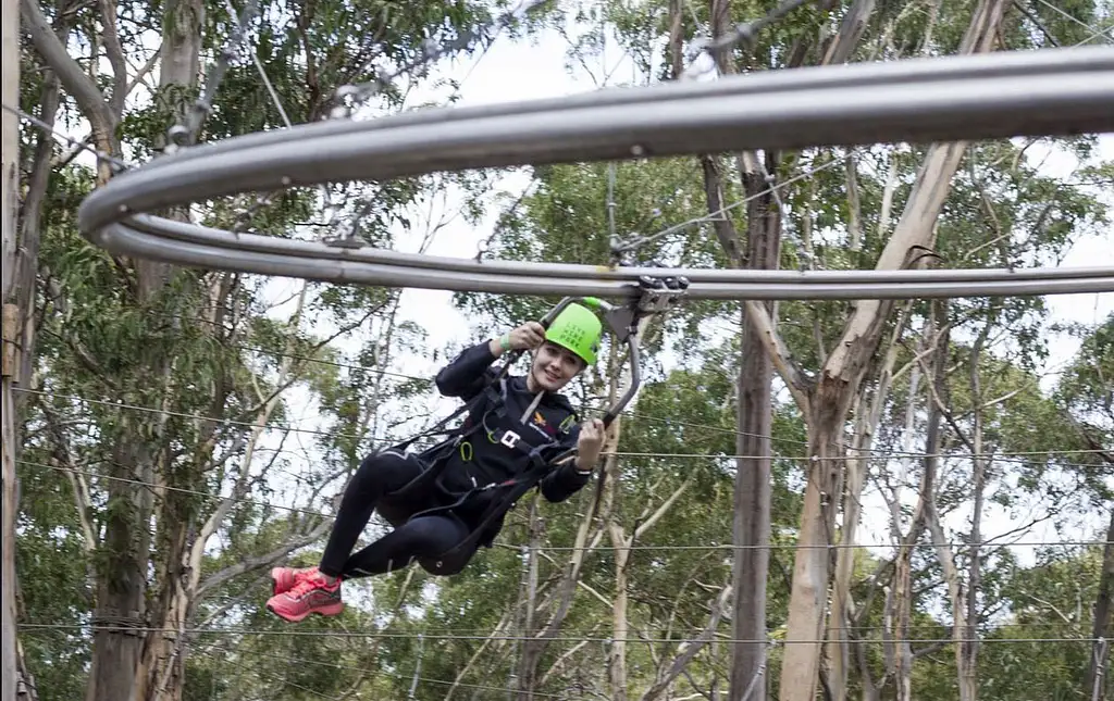 Lorne Shockwave Zip Coaster
