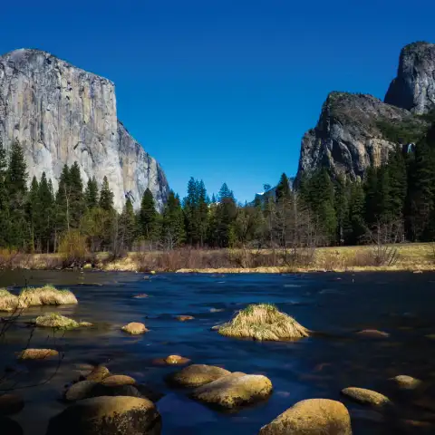 Yosemite National Park Tour