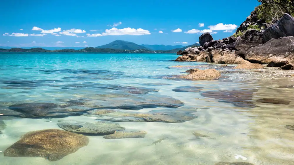 Dunk & Secret Cassowary Islands Day Trip | Departing Mission Beach