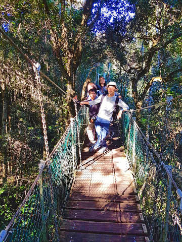 Lamington National Park Day Trip Deals