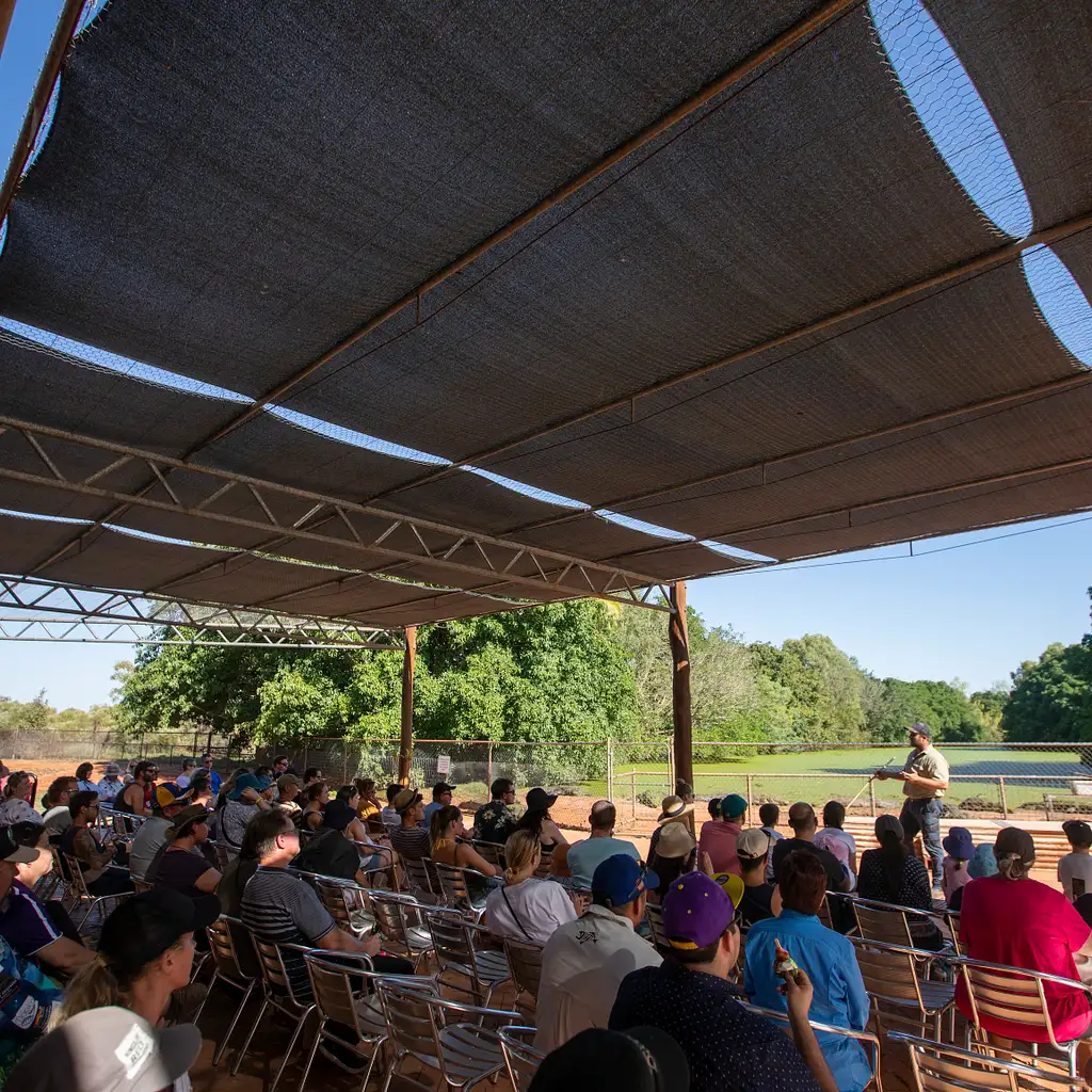 Malcolm Douglas Crocodile Feeding Tour in Broome Backpacker Deals