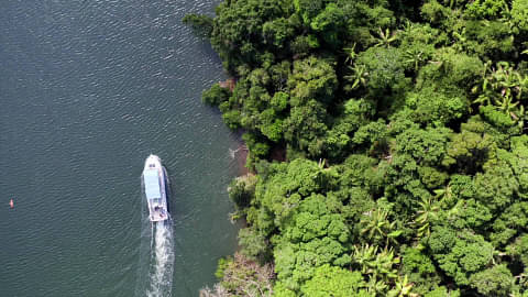 tweed river and rainforest cruise