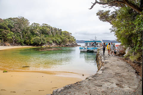 Ulva Island Explorer Deals