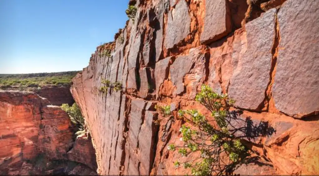Start Alice Springs or Uluru 3 Day 2 Night Tent Accommodated Tour (Goanna)