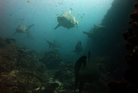 Coffs Harbour