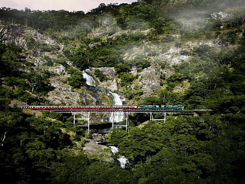 kuranda day tour