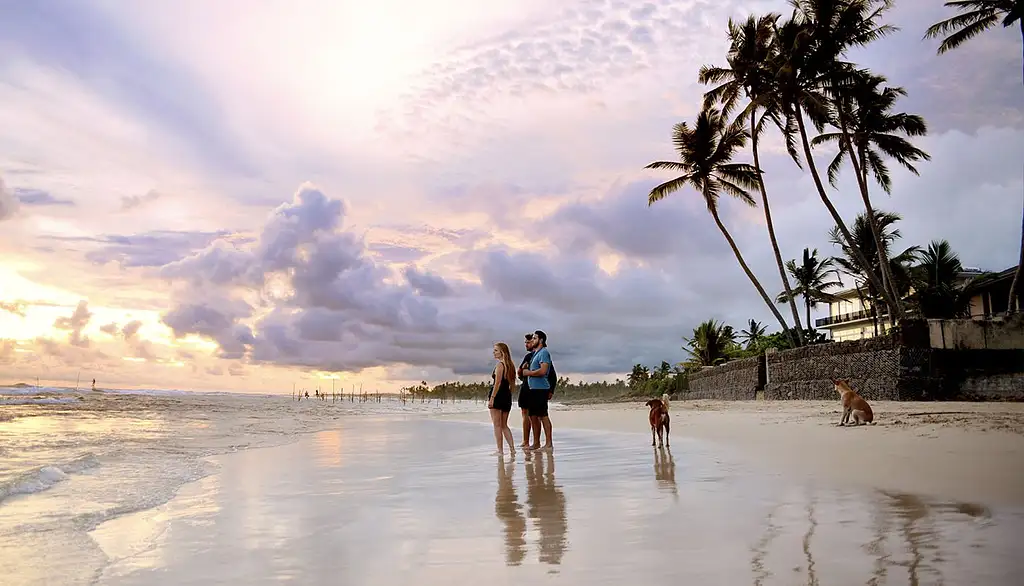 12 Day Sri Lanka Experience | Intro Travel