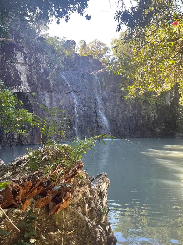Cedar Creek Express | Waterfall Adventure Tour from Airlie Beach