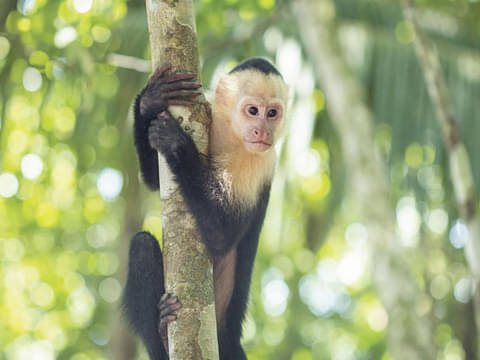 Best Costa Rica Tour