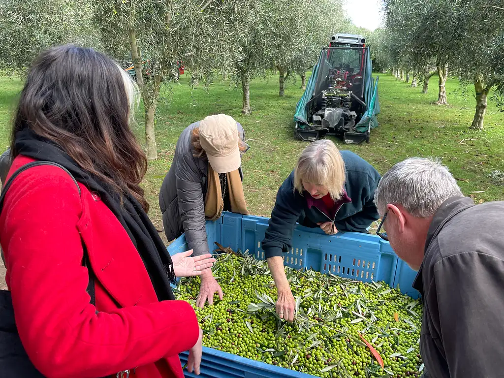 Full Day Martinborough Foodie Tour