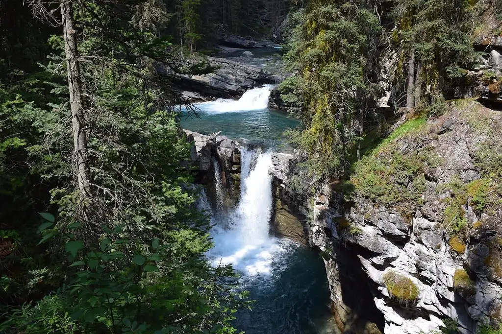 Banff Area And Canyon Guided Walking Tour