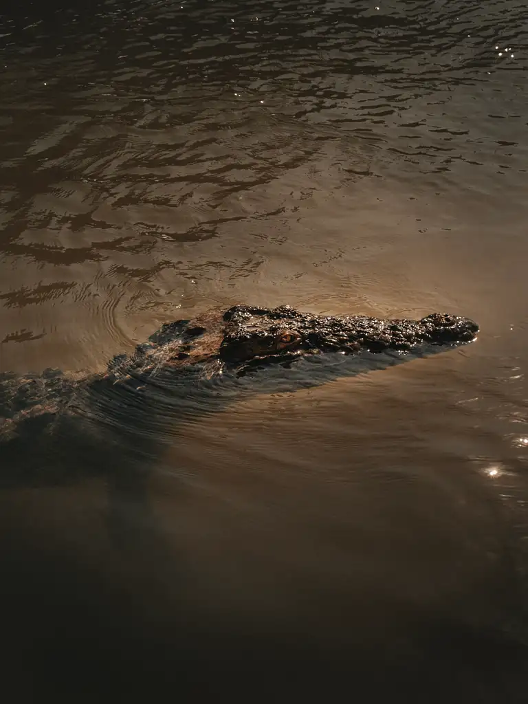 Sian Ka'an Discovery | Half Day Tour