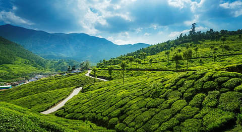 Munnar - Discover North & South India