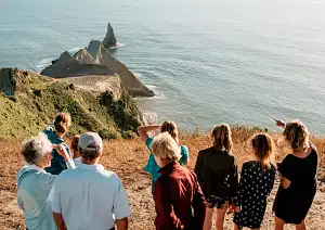 Hawke's Bay Gannet Tour