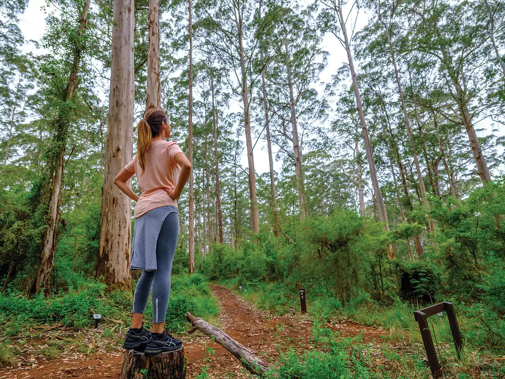 6 Day Esperance & Margaret River Camping Tour | Departing Perth