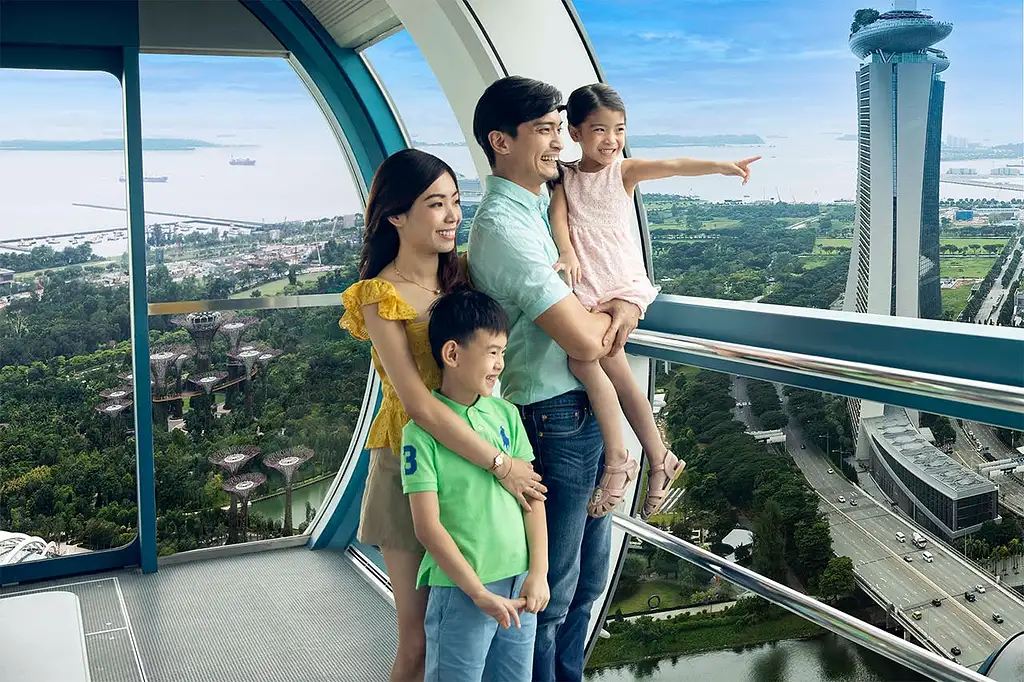 Singapore Flyer Observation Wheel and Time Capsule Entry Ticket