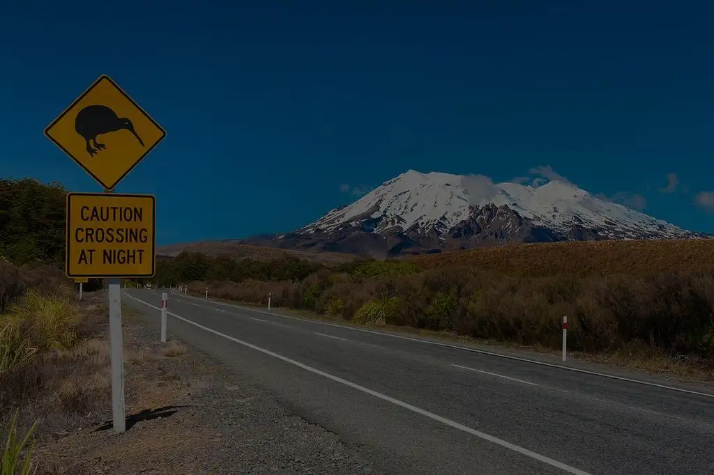 Tongariro Alpine Crossing: Shuttles & Transfer National Park Village Round Trip