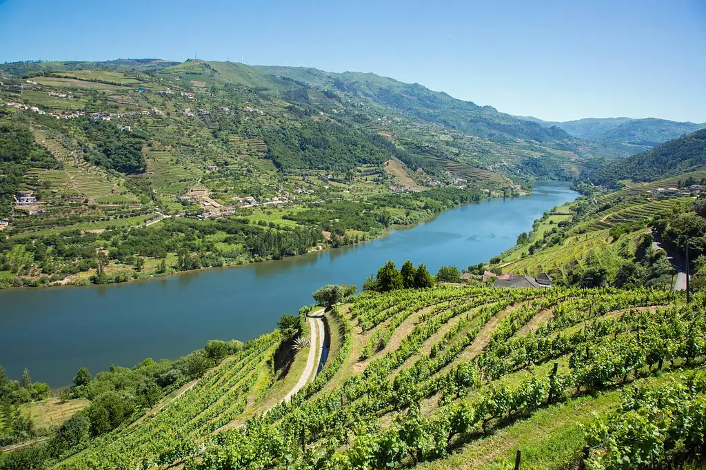 Douro Valley Tour | Wine tasting, Lunch and River Cruise