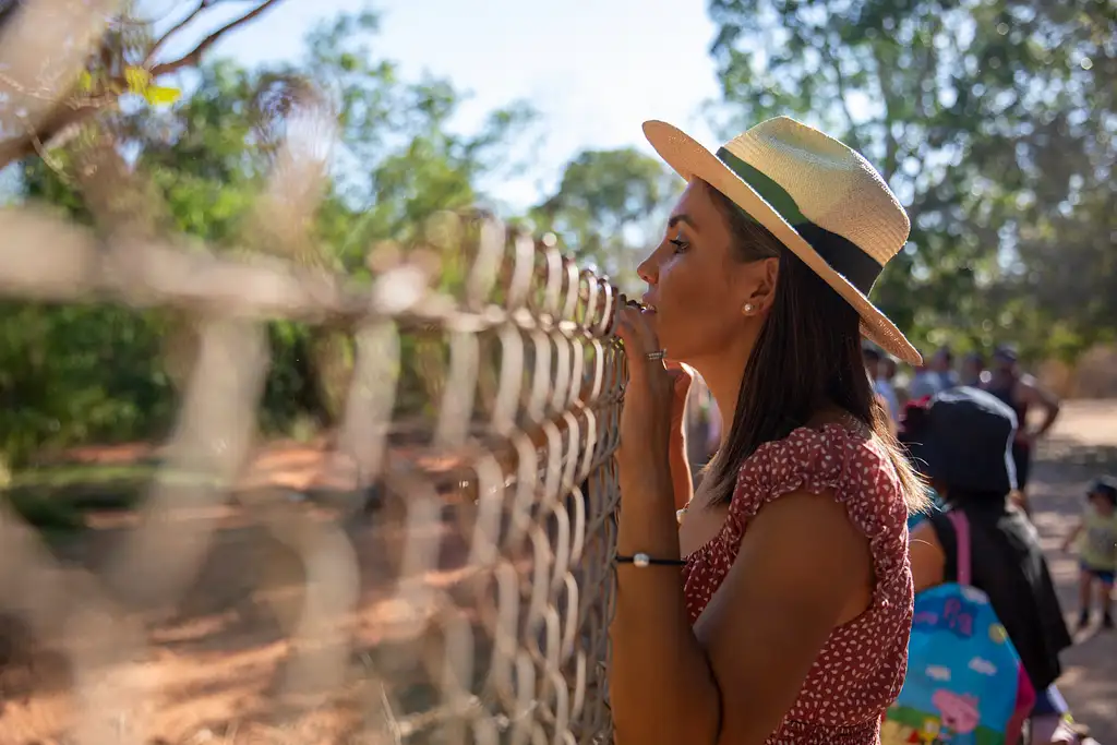 Broome 3-in-1 Tour | Matso's Broome Brewery | Broome Museum | Malcolm Douglas Crocodile Feeding Tour